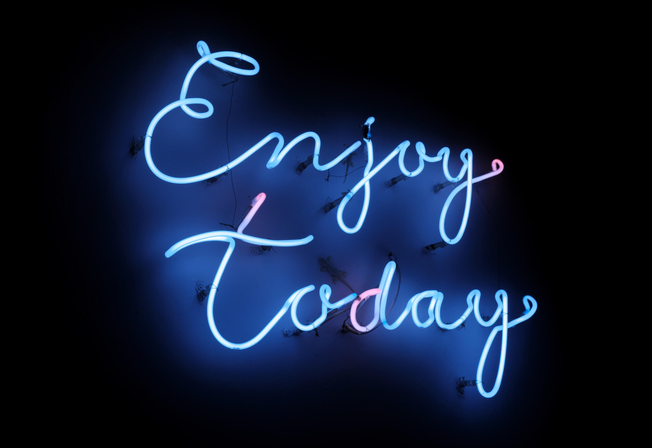 enjoy today by San Engineer