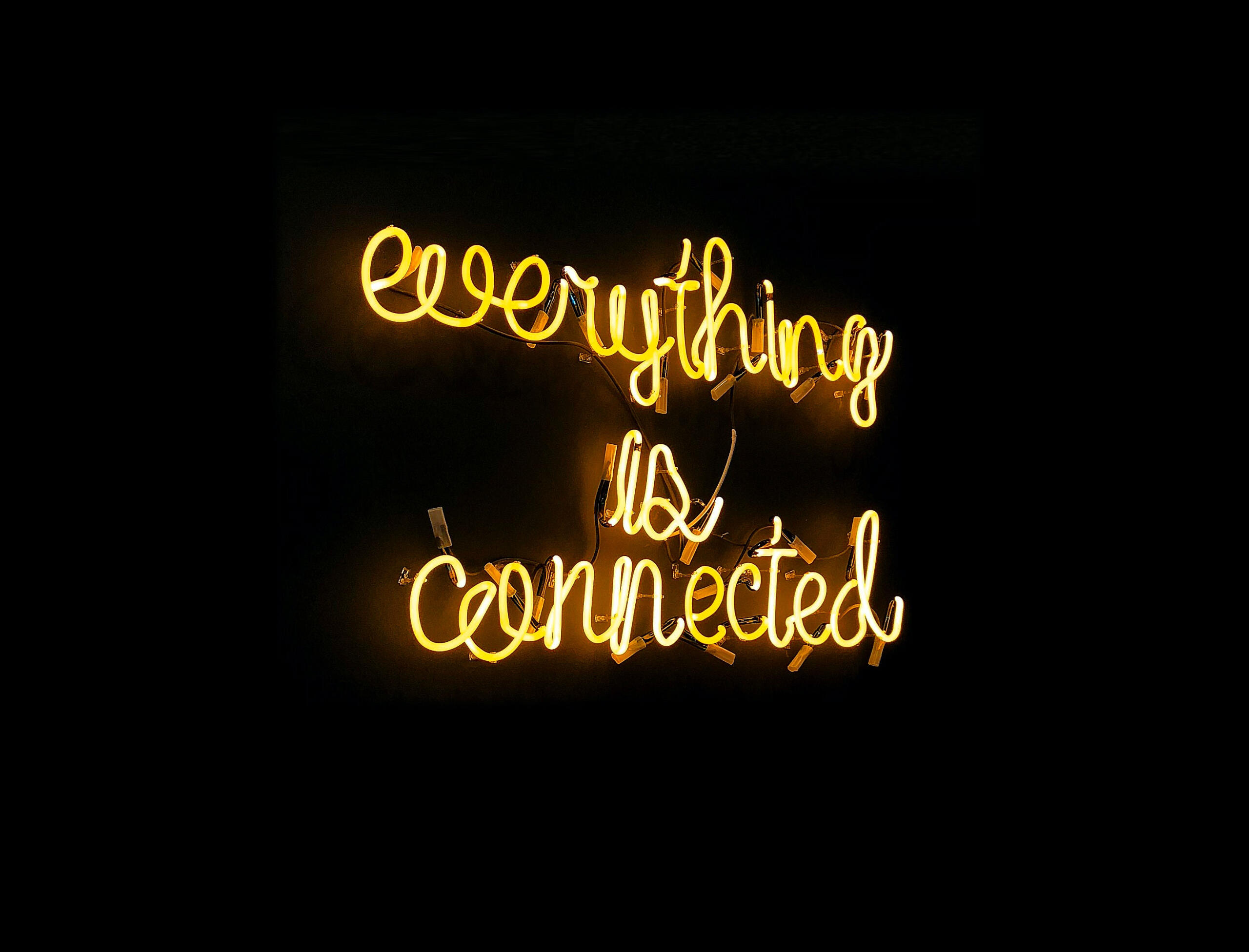 everything is connected by Daria Shevtsova